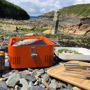 Everdure CUBE Portable Charcoal Grill