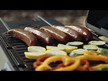 Load and play video in Gallery viewer, Portable Charcoal Grill and Smoker
